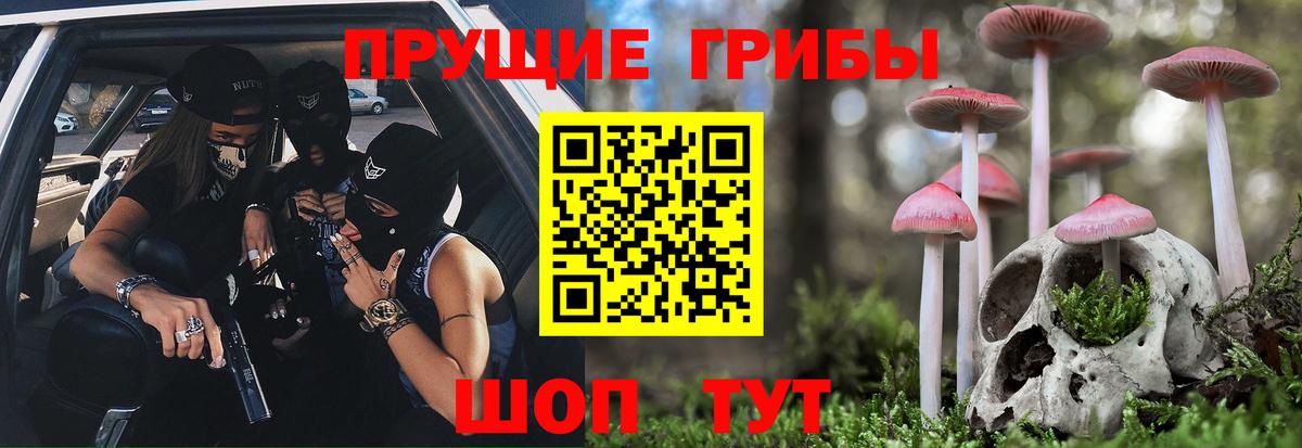 Галлюциногенные грибы Cubensis  Вход с VPN  наркошоп  Волжский 